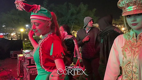 Circus Cortex Egypt - Behind the scenes